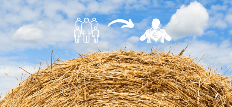 Verkkokauppa kannattavaksi – näin se käy – Digiportaat auttaa