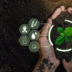 Maksuton digi-info: Tekoälyn vaikutukset maatalouteen: Katsaus potentiaaliin ja riskeihin